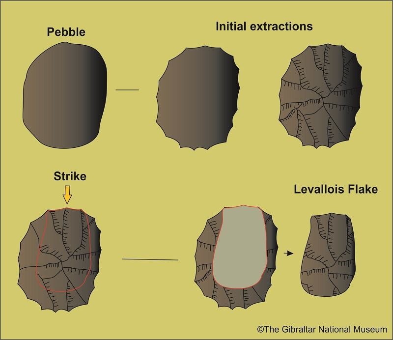 Levallois stone knapping technique